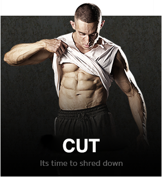 เผาผลาญไขมัน