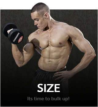 เพิ่มกล้ามเนื้อ